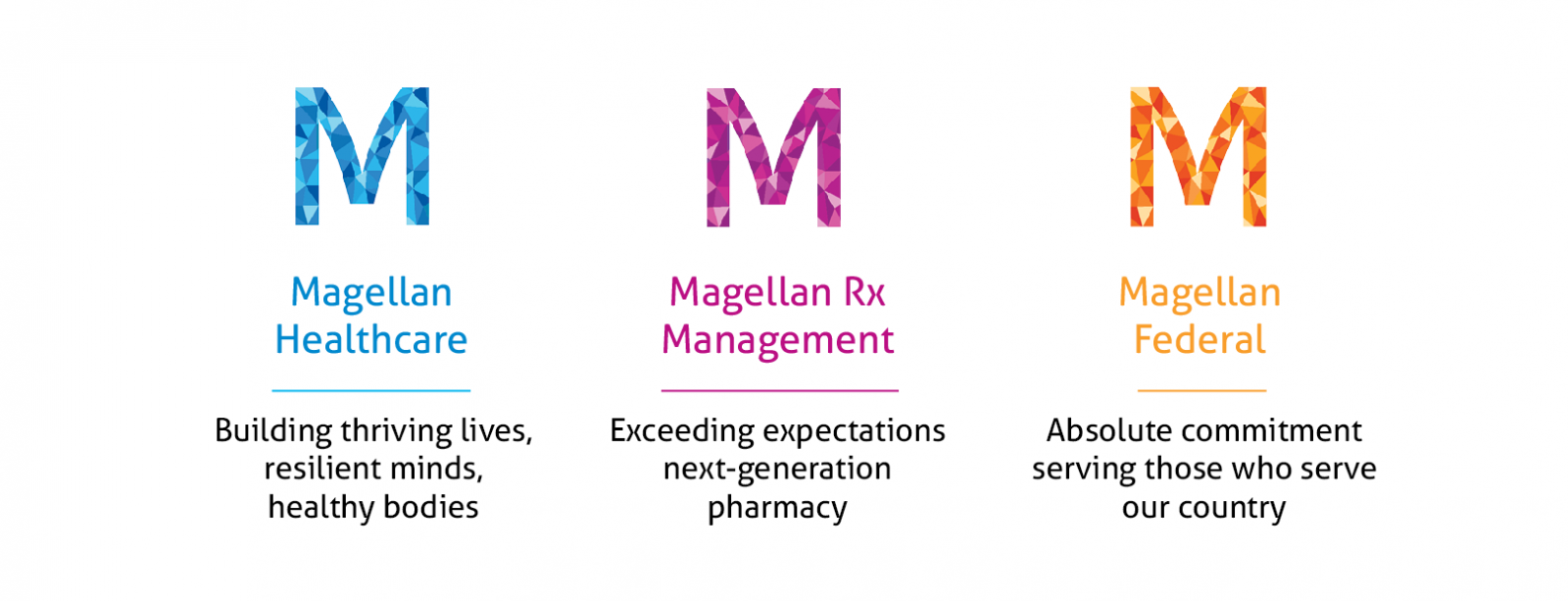 Magellan Health: powered for navigating complex health journeys.  illustration