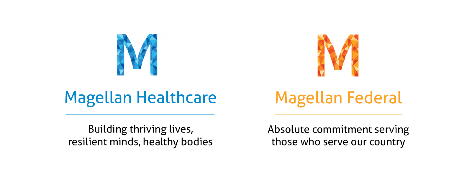 Magellan Health: powered for navigating complex health journeys.  illustration